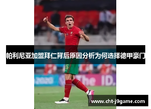 帕利尼亚加盟拜仁背后原因分析为何选择德甲豪门 帕利尼亚加盟拜仁背后原因分析为何选择德甲豪门