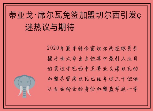 蒂亚戈·席尔瓦免签加盟切尔西引发球迷热议与期待